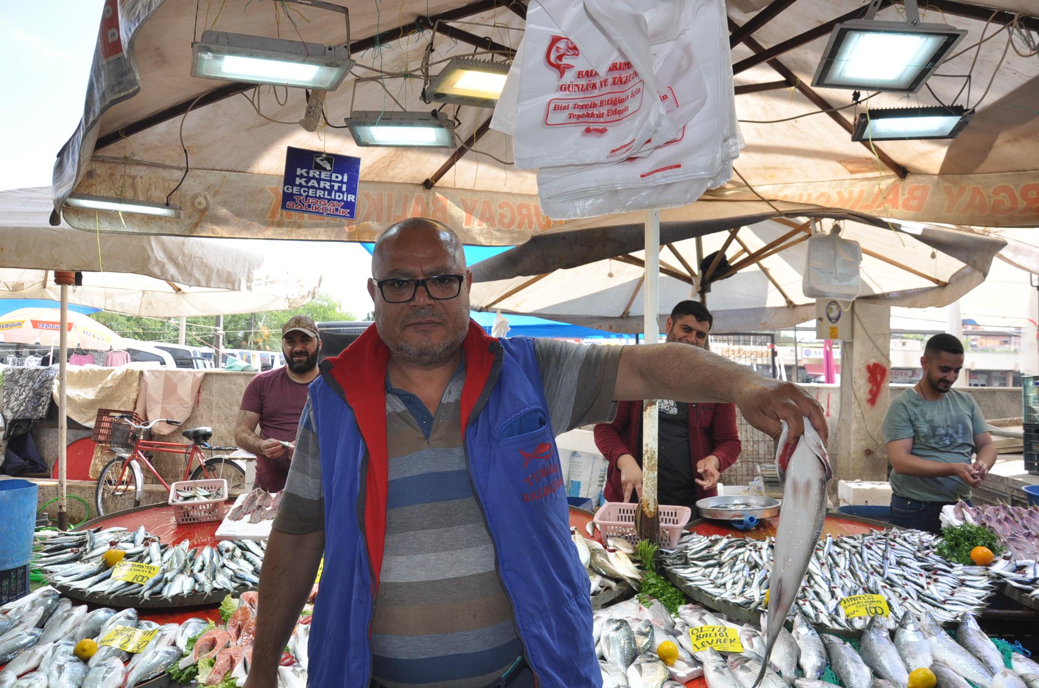 Pazarda Balık Fiyatları | Somon, Levrek, Hamsi, Çupra…