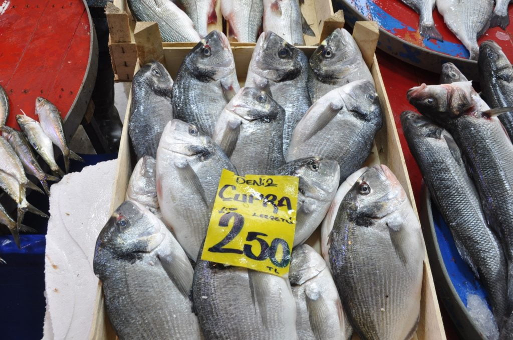 pazarda balık fiyatları