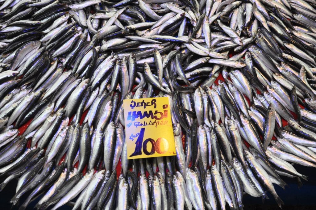 pazarda balık fiyatları