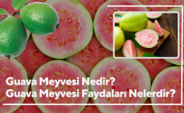 Guava Meyvesi Faydaları Nelerdir? Guava Meyvesi Nedir, Nasıl Yenir?